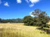 372 Ravenbourne Dip Road, Ravensbourne, Qld 4352-Image