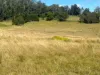372 Ravenbourne Dip Road, Ravensbourne, Qld 4352-Image