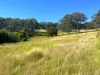 372 Ravenbourne Dip Road, Ravensbourne, Qld 4352-Image