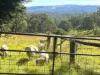 372 Ravenbourne Dip Road, Ravensbourne, Qld 4352-Image