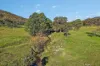 375 Mcdonalds Hole Road, Lithgow, NSW 2790-Image