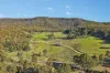 375 Mcdonalds Hole Road, Lithgow, NSW 2790-Image