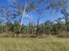 375 Monaghan Road, Lloyd Creek, NT 0822-Image