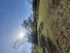 375 Monaghan Road, Lloyd Creek, NT 0822-Image