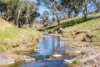 376 Boondaroo Road, Mandurama, NSW 2792-Image