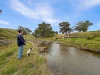 376 Boondaroo Road, Mandurama, NSW 2792-Image