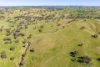 376 Boondaroo Road, Mandurama, NSW 2792-Image