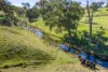 376 Boondaroo Road, Mandurama, NSW 2792-Image