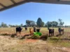 377 Copeton Dam Road, Inverell, NSW 2360-Image