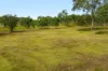 377 Pitches Road, Doubtful Creek NSW 2470-Image