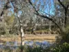 3770 Condamine, Meandarra QLD 4422-Image