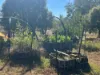 3770 Condamine, Meandarra QLD 4422-Image