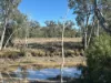 3770 Condamine, Meandarra QLD 4422-Image