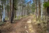 378 Carrick Road, Carrick, NSW 2580-Image