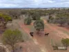 38 Avoca Road (Morbinning), Beverley, WA 6304-Image
