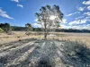3814 Oallen Ford Road, Windellama, NSW 2580-Image