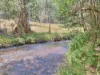 384 Ridge Road, Noojee VIC 3833-Image