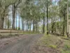 384 Ridge Road, Noojee VIC 3833-Image