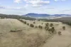 38485 Tasman Highway, Targa, Tas 7259-Image