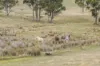38485 Tasman Highway, Targa, Tas 7259-Image
