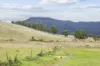 38485 Tasman Highway, Targa, Tas 7259-Image