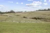 38485 Tasman Highway, Targa, Tas 7259-Image