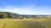 385 Jerula Road, Mozart, NSW 2787-Image
