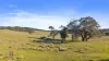 385 Jerula Road, Mozart, NSW 2787-Image