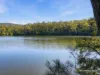 385 Locketts Crossing Road, Coolongolook, NSW 2423-Image