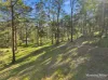 385 Locketts Crossing Road, Coolongolook, NSW 2423-Image