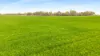 388 Smiths Lane, Kingston Se, SA 5275-Image