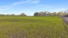 388 Smiths Lane, Kingston Se, SA 5275-Image