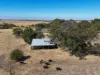 3880 Hamilton Highway, Caramut, Vic 3274-Image