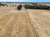 3880 Hamilton Highway, Caramut, Vic 3274-Image