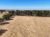 3880 Hamilton Highway, Caramut, Vic 3274-Image
