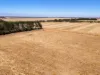 3880 Hamilton Highway, Caramut, Vic 3274-Image
