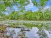 389 Upper Warrell Creek Road, Congarinni, NSW 2447-Image