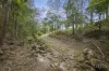 389 Vermont Road, Mulbring, NSW 2323-Image