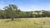 389 Vermont Road, Mulbring, NSW 2323-Image