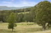 389 Vermont Road, Mulbring, NSW 2323-Image