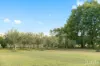 389 Wilderness Road, Lovedale, NSW 2325-Image