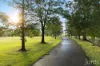 389 Wilderness Road, Lovedale, NSW 2325-Image