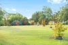 389 Wilderness Road, Lovedale, NSW 2325-Image