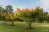 389 Wilderness Road, Lovedale, NSW 2325-Image
