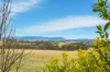 390 Bloom Hill Road, O'Connell, NSW 2795-Image