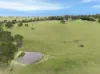 390 Bloom Hill Road, O'Connell, NSW 2795-Image