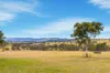390 Bloom Hill Road, O'Connell, NSW 2795-Image