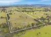 390 Bloom Hill Road, O'Connell, NSW 2795-Image