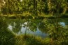391 Mount Kilcoy Road, Mount Kilcoy, Qld 4515-Image