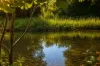 391 Mount Kilcoy Road, Mount Kilcoy, Qld 4515-Image